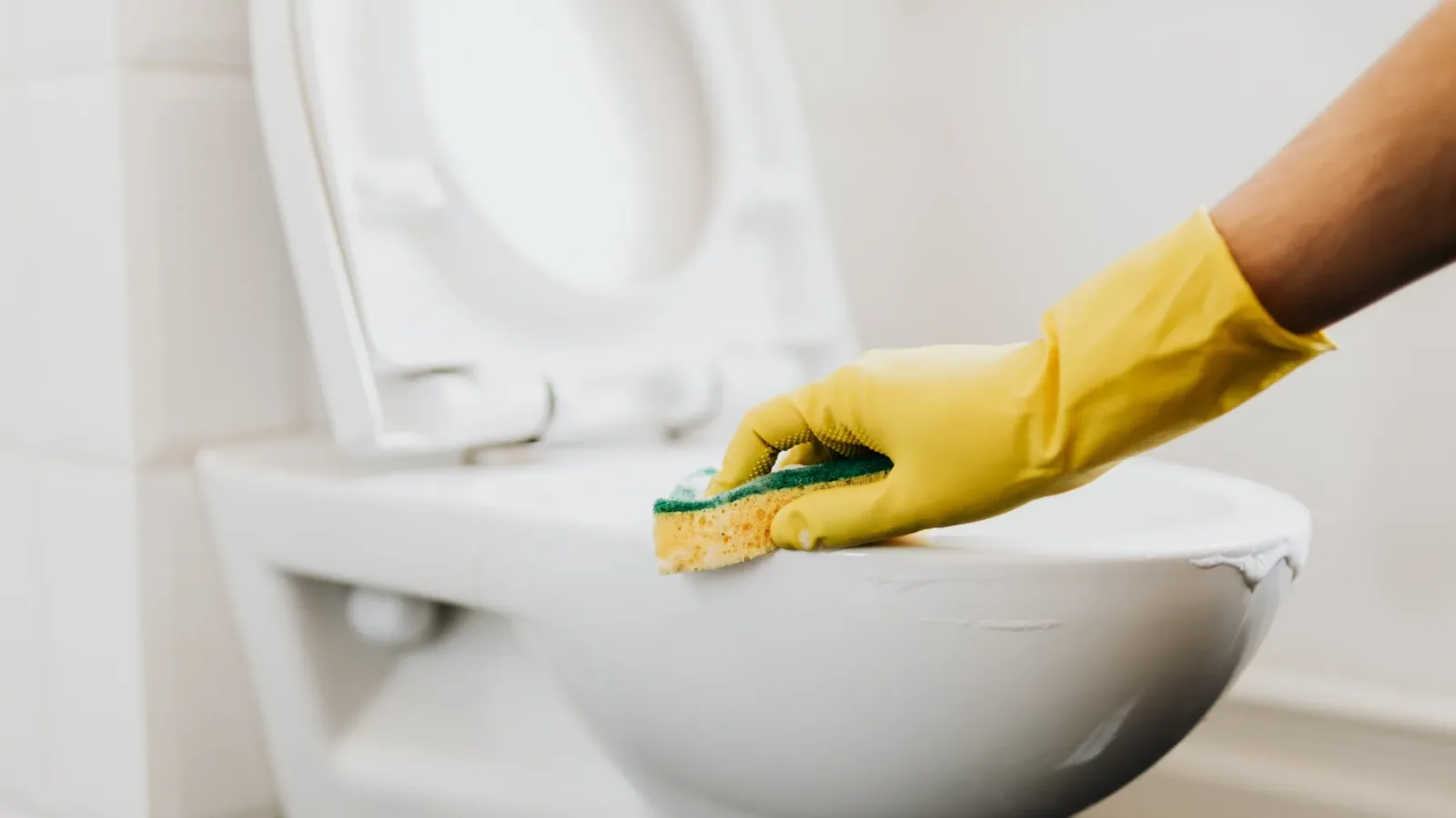 Hand mit Schutzhandschuh reinigt ein WC mit dem Schwamm – Sanitärreinigung in Schulen und Kindergärten in Oberösterreich und im Land Salzburg