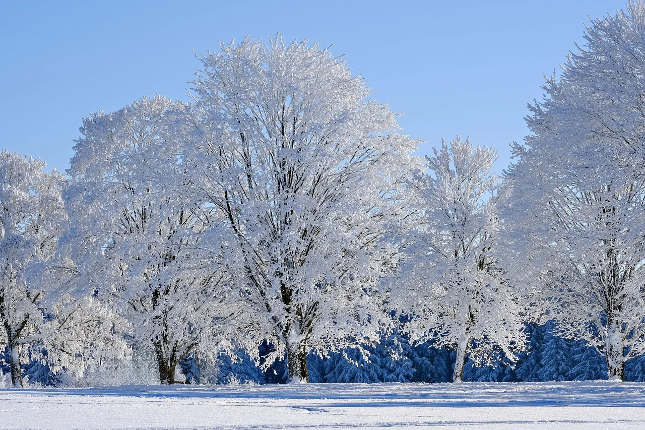 Winterdienst und Schneeräumung